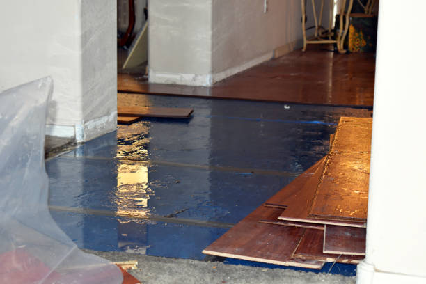 Professional Burst Pipe Cleanup technician working in Yucca Valley, CA